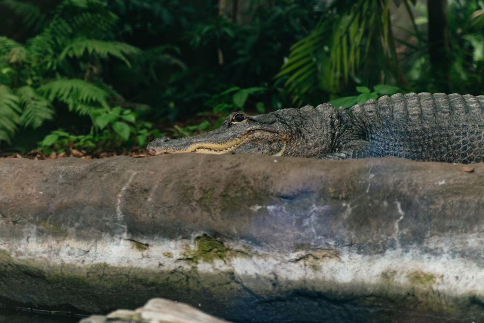 Tampa: The Florida Aquarium Ticket - Conservation Efforts