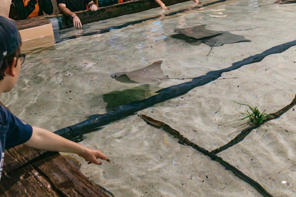 Tampa: The Florida Aquarium Ticket - Mangrove Forest Journey