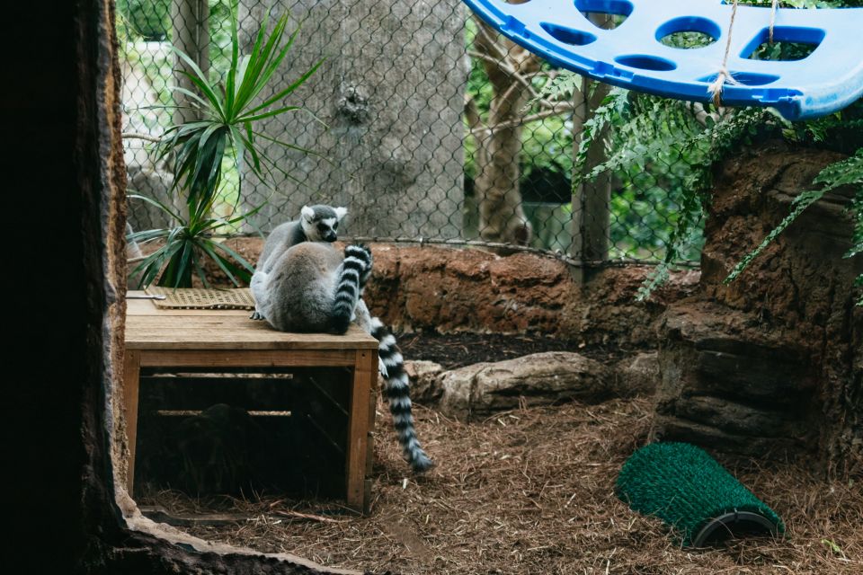 Tampa: The Florida Aquarium Ticket - Madagascar Exhibit Exploration
