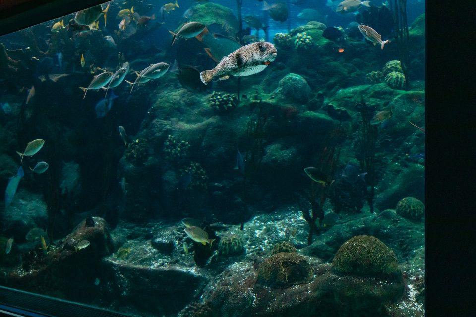 Tampa: The Florida Aquarium Ticket - Frequently Asked Questions