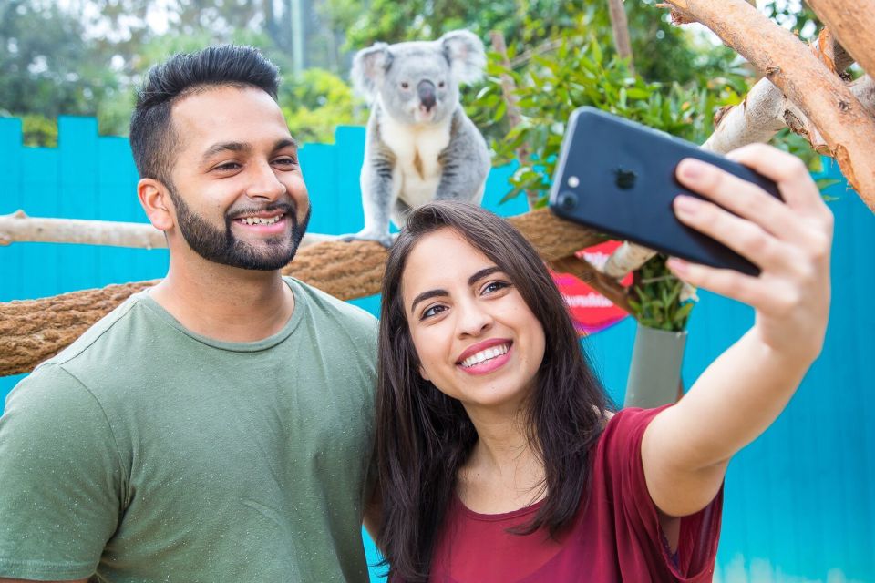 Tampa: ZooQuarium- ZooTampa & Florida Aquarium Combo Ticket - Wheelchair Accessibility