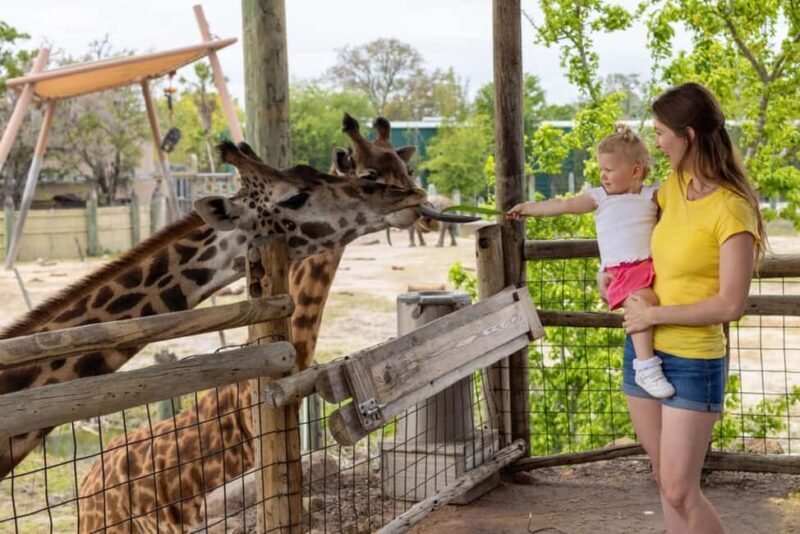 Tampa: ZooTampa at Lowry Park Ticket with After Hours Option - A Closer Look at the Itinerary and Attractions  