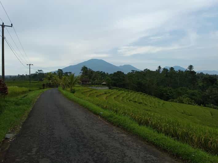 t7277432