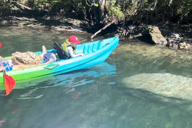 Tandem Kayak Rental for Kings Bay Three Sisters Springs - Key Points