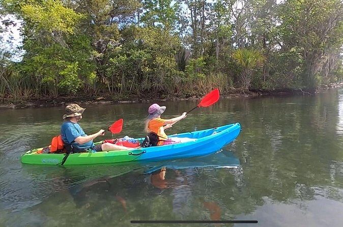 Tandem Kayak Rental for Kings Bay Three Sisters Springs - Who Will Love This Experience