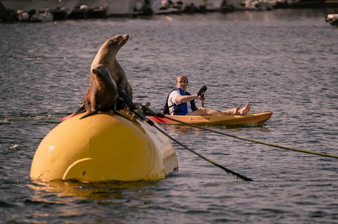 Tandem Kayak Rentals in Mission Bay - Safety and Restrictions