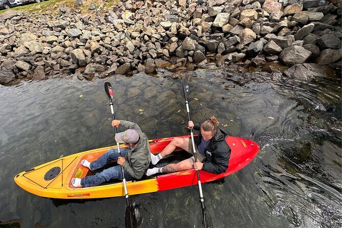 Tandem Kayak Rentals in Mission Bay - The Bottom Line: Is This Tour Worth It?