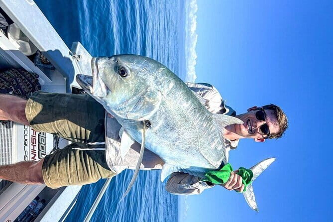 Tandem Paragliding Cairns - Value for Money