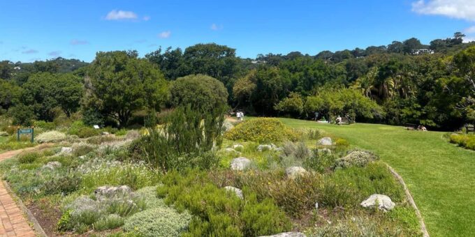Tandem Paragliding, Green Market and Constantia Wine Tasting - Flexible Cancellation and Booking Options