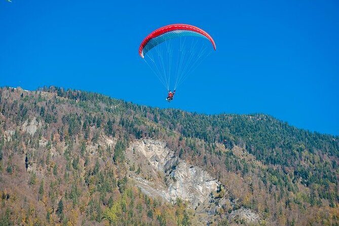 Tandem Paragliding in Alanya - What’s Included and What You Need to Know