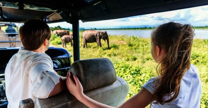 Tangalle/Hiriketiya: Udawalawa Safari & Elephant Orphanage - Frequently Asked Questions