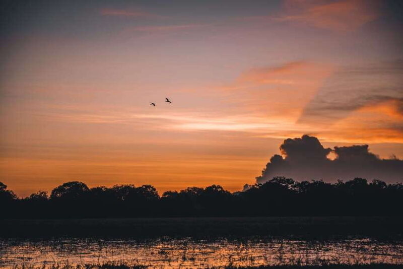 Tangalle/Hiriketiya: Yala National Park Safari in a 4x4 - A Detailed Look at the Yala National Park Safari