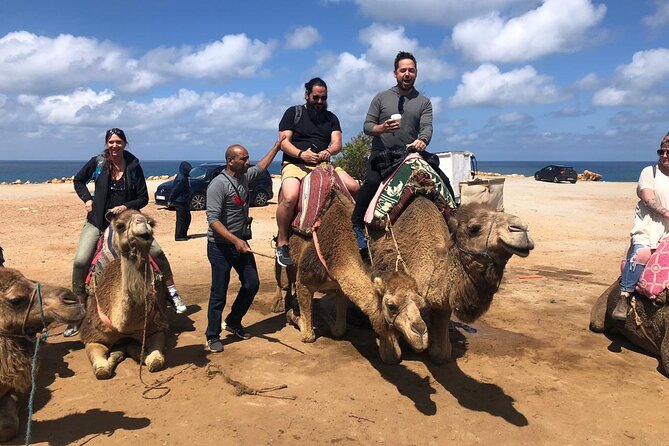 Tangier Day Trip From Seville - Crossing the Strait of Gibraltar by Ferry
