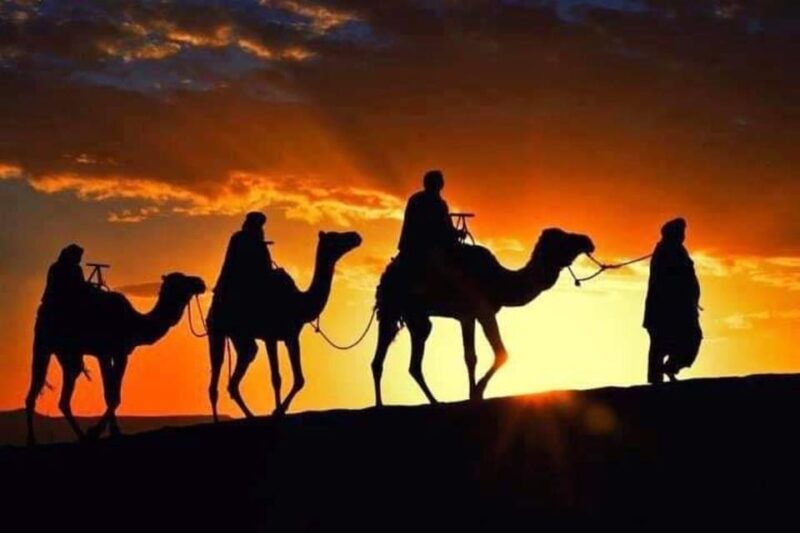 Tangier: Day Trip From Tarifa to Tanger  Camel Ride & Lunch - Exploring Tangiers Historic Sites
