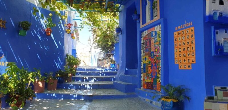 Tangier: Full-Day Trip to Chefchaouen - Discovering the Walled Citys Neighborhoods