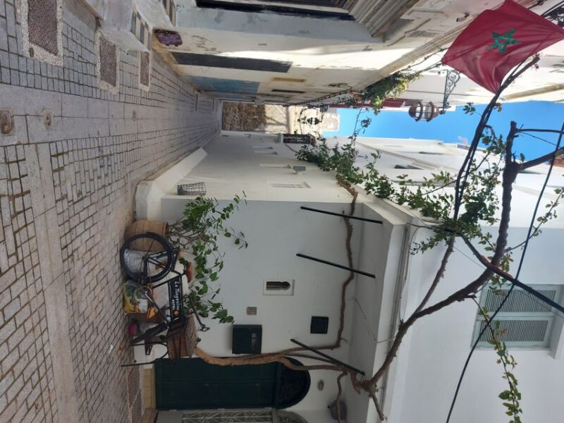 Tangier Highlights Private 6-Hour Tour - Navigating the Tangiers Medina