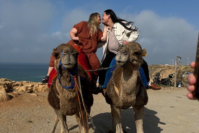 Tangier Luxury Private Day Tour From Tarifa including Camel ride - Final Thoughts: Who is This Tour Best For?