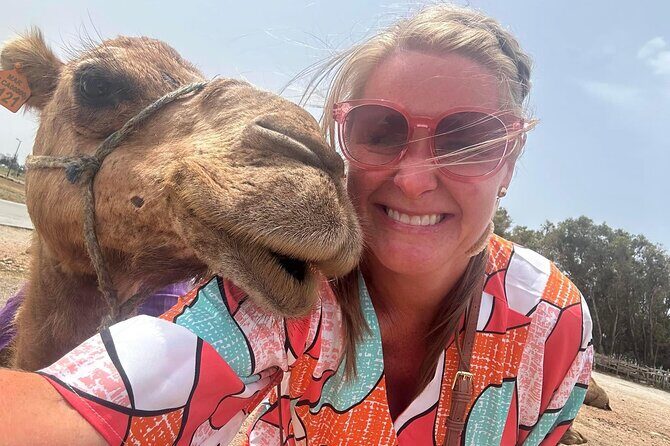 Tangier Luxury Private Day Tour From Tarifa including Camel ride - FAQ