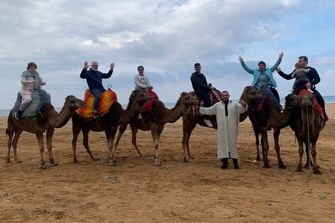 Tangier Private Full Day Tour Including Ferry Ticket & Camel Ride - Traveler Experiences