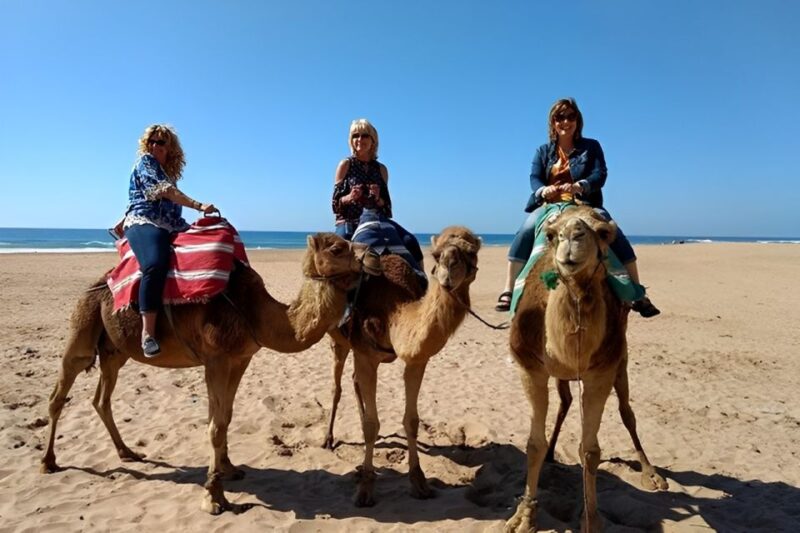 Tangier: Private Half-Day Tour and Camel Ride - Itinerary and Highlights