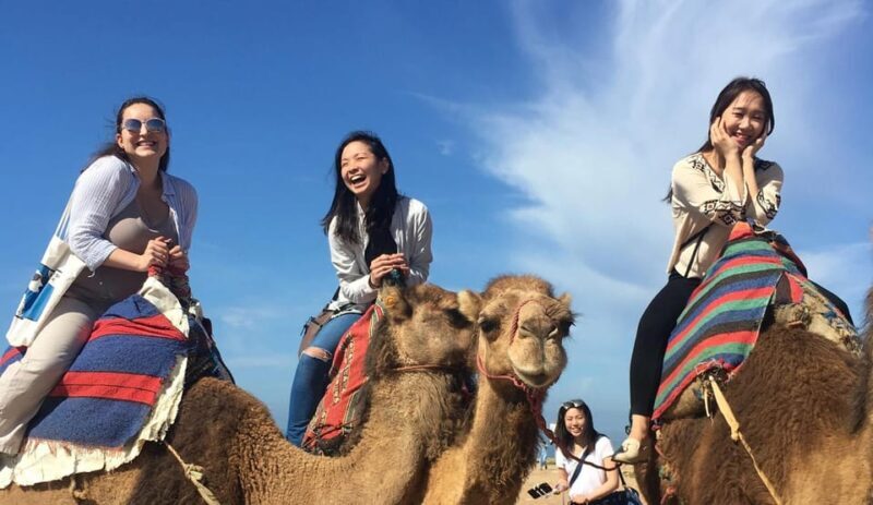 Tangier Private Half-Day Tour + Camel Ride + Add-on: Lunch - What Makes This Tour Stand Out?