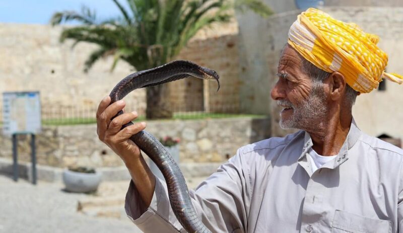 Tangier Private Half-Day Tour + Camel Ride + Add-on: Lunch - Authentic Experiences & Traveler Feedback