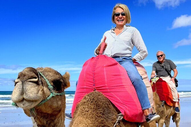 Tangier Private Tour from Seville Including Camel Ride & Lunch - FAQ