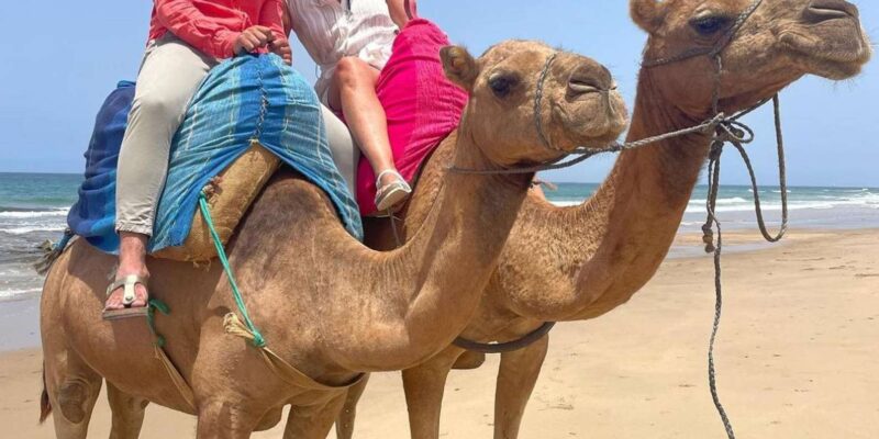 Tangier: Sunset Tour With Tea, Camel Ride and Hercules Caves - Witnessing the Sunset at Hercules Caves