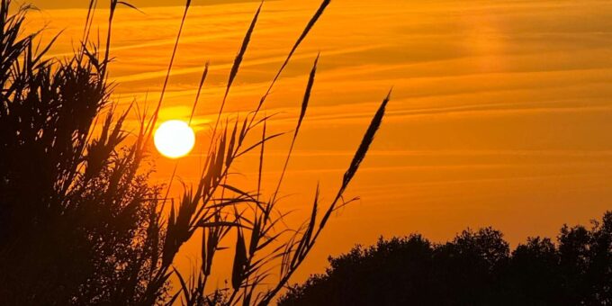 Tangier: Sunset Tour With Tea, Camel Ride and Hercules Caves - What to Expect on the Tour
