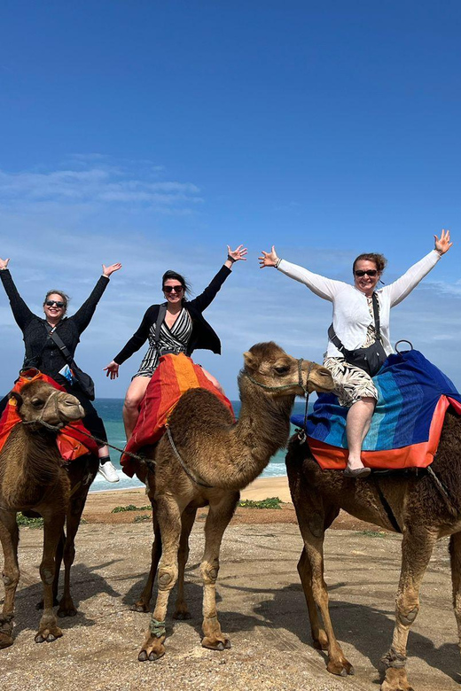 Tangier Tours With Ferry Ticket Camel Trek and Moroccan Food - Inclusions and Transportation