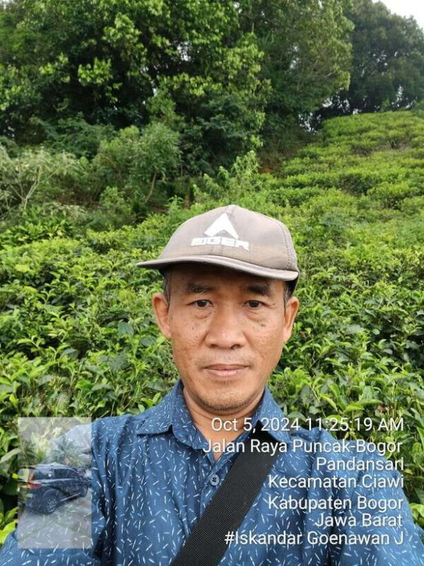Tangkuban Perahu Mountain Tour - Key Points