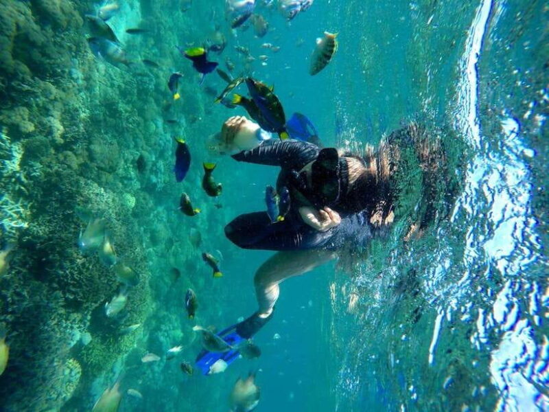 Tangsi Beach, Gili Gambir and Gili Petelu Snorkeling trip - Key Points