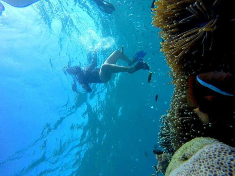 Tangsi Beach, Gili Gambir and Gili Petelu Snorkeling trip - What’s Included & What’s Not