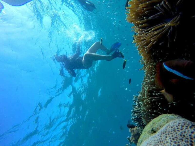 Tangsi Beach, Gili Gambir and Gili Petelu Snorkeling trip - Practical Tips for Your Trip