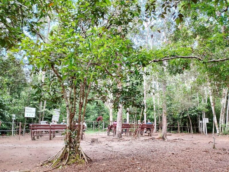 Tanjung Puting National Park Klotok - Good To Know