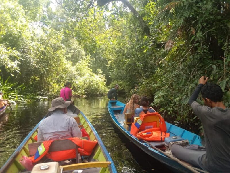 Tanjung Puting National Park Klotok - Booking and Payment