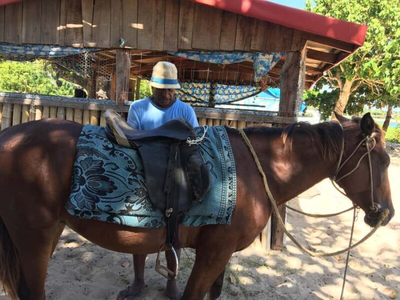 Tanoa Waterfront Hotel to Natadola Beach Round Trip - Transport and Group Details