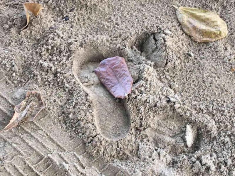 Tanoa Waterfront Hotel to Natadola Beach Round Trip - Key Points