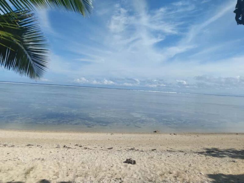 Tanoa Waterfront Hotel to Natadola Beach Round Trip - A Closer Look at the Experience