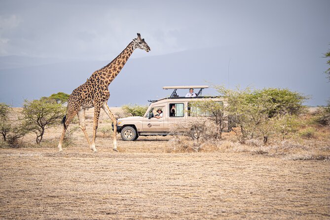 Tanzania Enticing Explorations - 6 Days - Booking Information and Tips