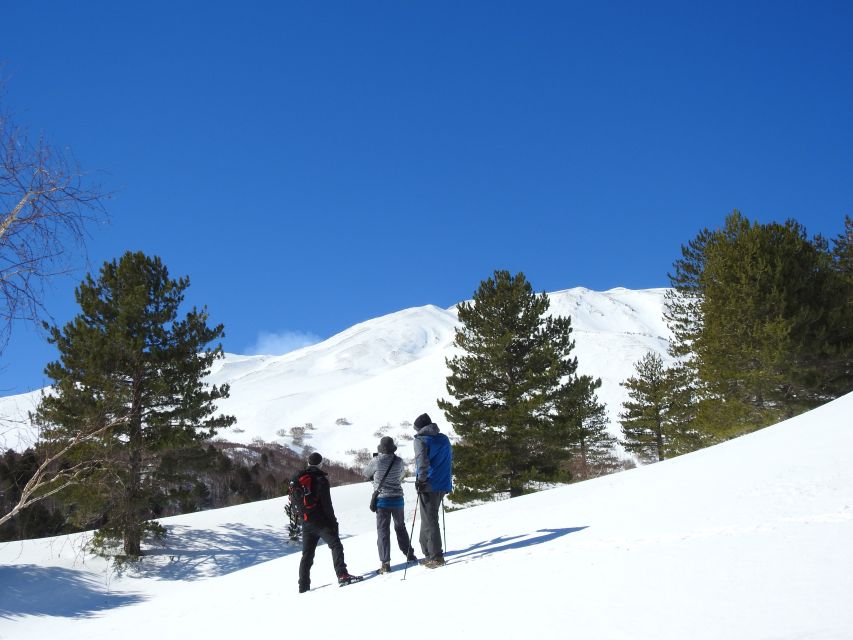 Taormina and Catania: Private Etna Exploration and Cave Tour - Frequently Asked Questions