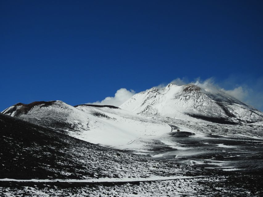 Taormina and Catania: Private Guided Etna Hike by Cable Car - Hike and Exploration