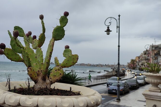 Taormina and Etna Volcano Lunch&Winetasting From Messina or Catania Port Shorexc - Booking and Cancellation