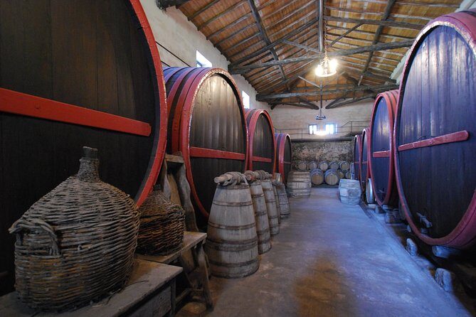 Taormina and Etna with driver Wine experience to ask for - The Sum Up: Who’s the Perfect Fit?