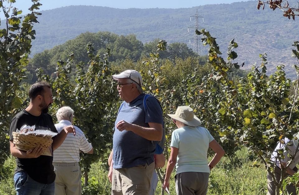 Taormina: Food and Wine Tour Also in Vintage Car - Cheese, Dessert, and Food Tasting in Randazzo