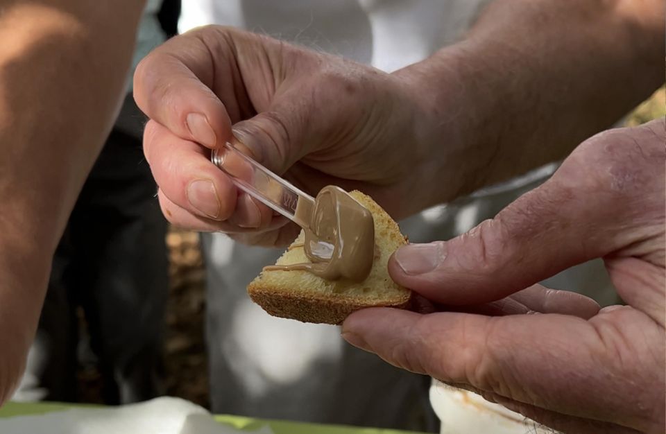 Taormina: Food and Wine Tour Also in Vintage Car - Frequently Asked Questions