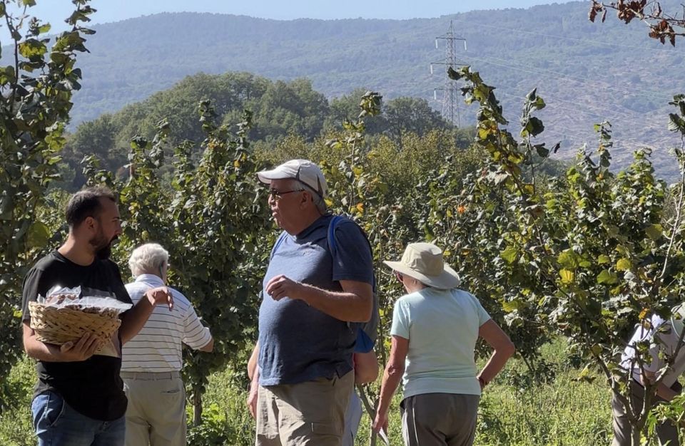 Taormina Food and Wine Tour With Lunch in an Etna Winery - Frequently Asked Questions