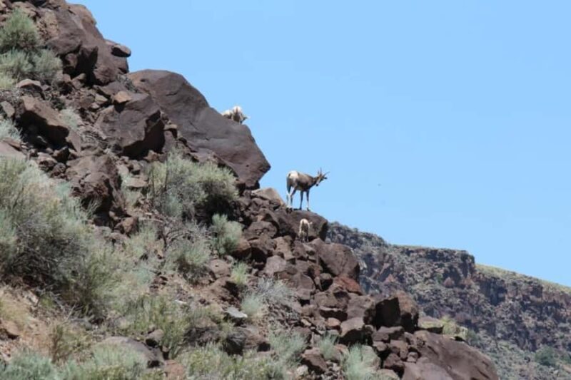 Taos Santa Fe ~ Kokopelli Taos Box Full Day Rafting - Key Points