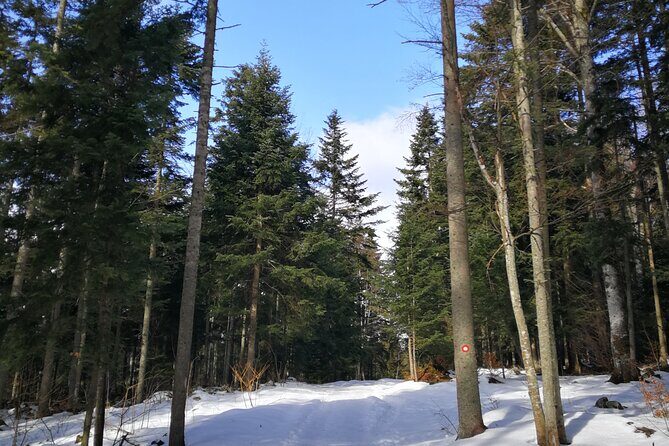 Tara National Park and Drina River House - FAQs