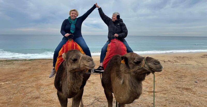 Tarifa to Tangier: Day Trip With Ferry & Camel Ride - Good To Know
